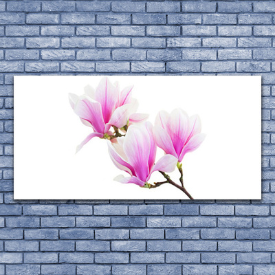 Quadro canvas Flores Planta Natureza