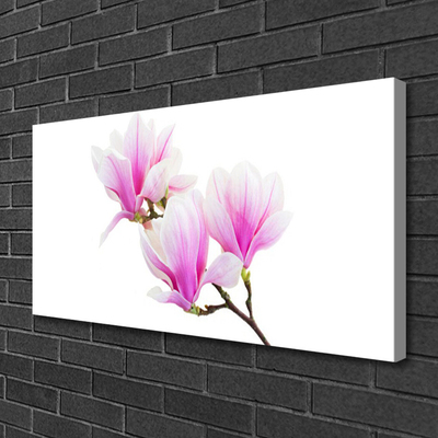 Quadro canvas Flores Planta Natureza
