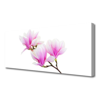 Quadro canvas Flores Planta Natureza