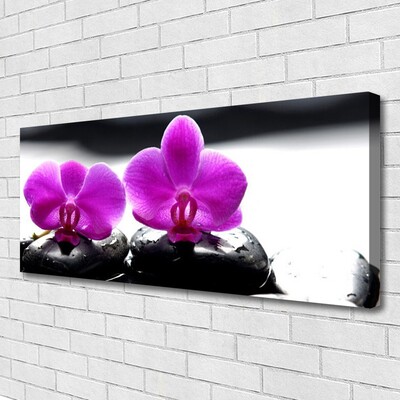 Quadro em tela Flores Orquídea Natureza