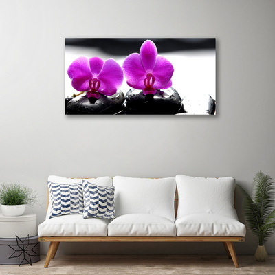 Quadro em tela Flores Orquídea Natureza