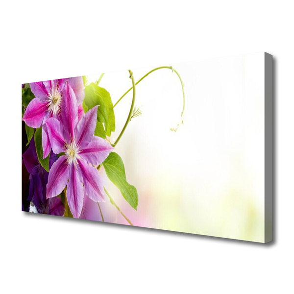 Quadro em tela Flores Natureza Natureza