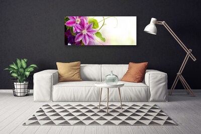 Quadro em tela Flores Natureza Natureza