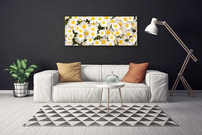 Quadro canvas Margaridas Flores