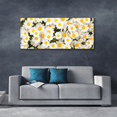 Quadro canvas Margaridas Flores
