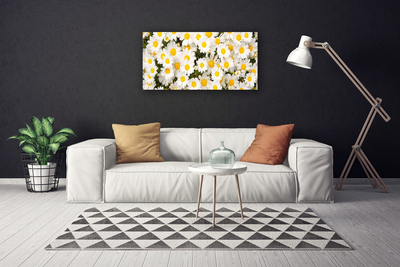 Quadro canvas Margaridas Flores
