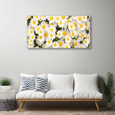 Quadro canvas Margaridas Flores