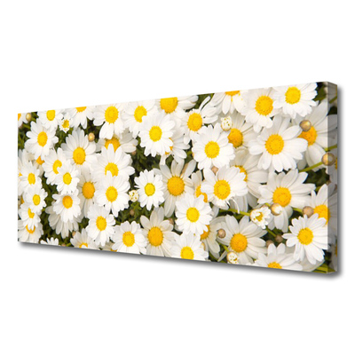 Quadro canvas Margaridas Flores