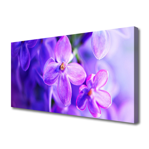 Quadro canvas Flores roxas da natureza