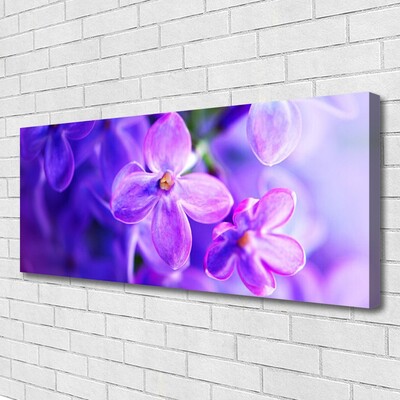 Quadro canvas Flores roxas da natureza