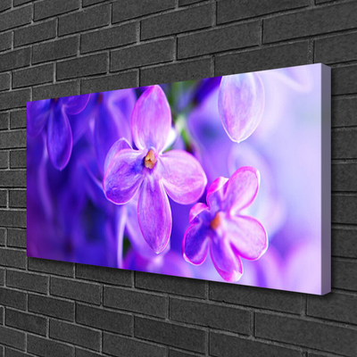 Quadro canvas Flores roxas da natureza