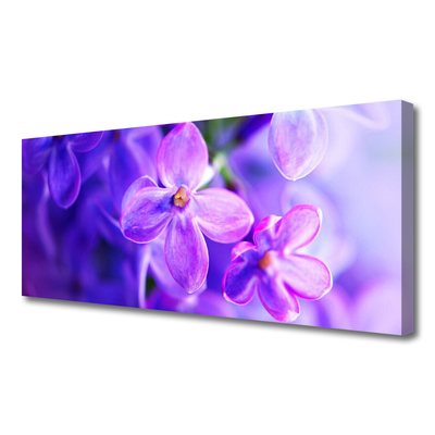 Quadro canvas Flores roxas da natureza