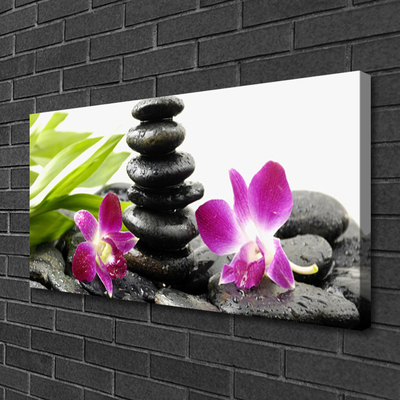 Quadro canvas Pedras de orquídea Zen Spa