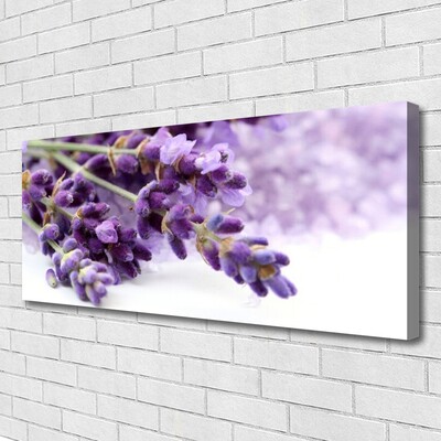 Quadro em tela Flores Natureza Plantas