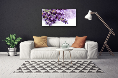 Quadro em tela Flores Natureza Plantas