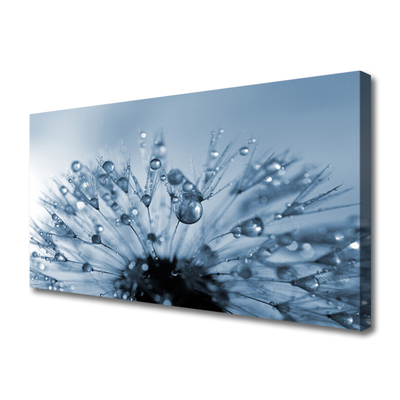 Quadro em tela Gotas de flor de dente-de-leão
