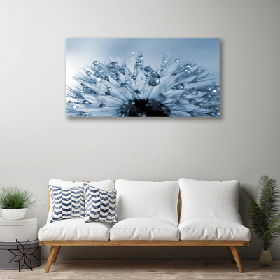 Quadro em tela Gotas de flor de dente-de-leão