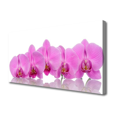 Quadro canvas Flores de orquídea rosa