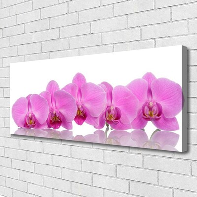 Quadro canvas Flores de orquídea rosa