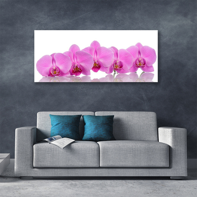 Quadro canvas Flores de orquídea rosa