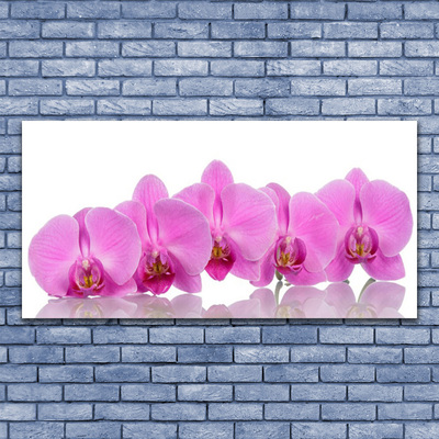Quadro canvas Flores de orquídea rosa