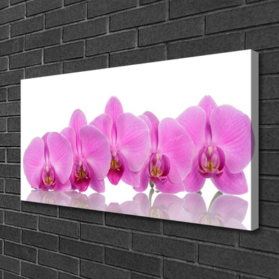 Quadro canvas Flores de orquídea rosa