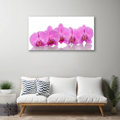 Quadro canvas Flores de orquídea rosa