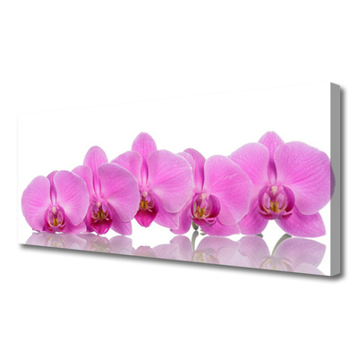 Quadro canvas Flores de orquídea rosa