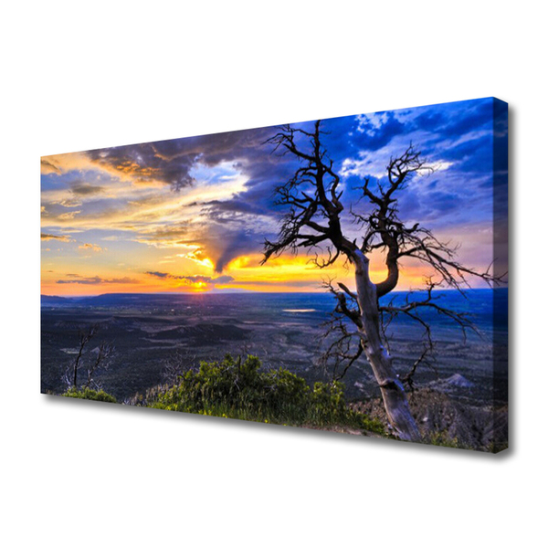Quadro canvas Árvore do Pôr do Sol