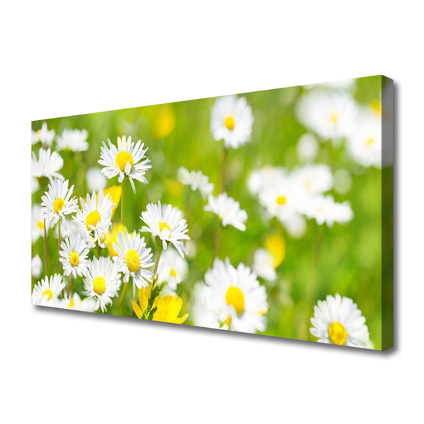 Quadro canvas Planta de flor margarida