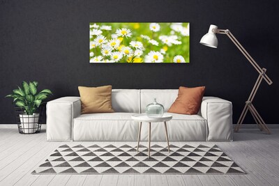 Quadro canvas Planta de flor margarida