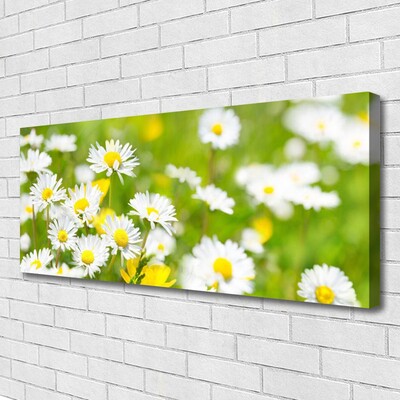 Quadro canvas Planta de flor margarida