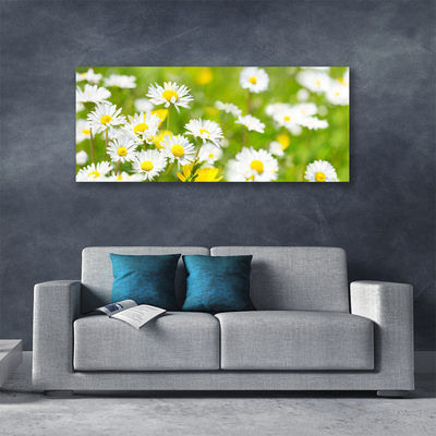 Quadro canvas Planta de flor margarida