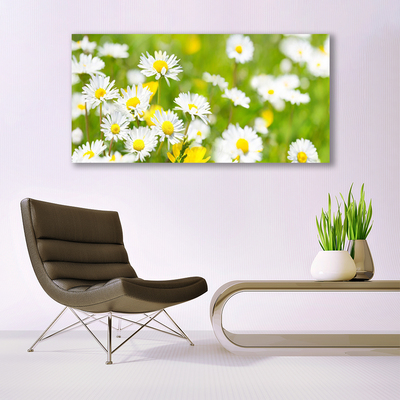Quadro canvas Planta de flor margarida