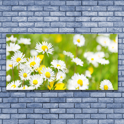 Quadro canvas Planta de flor margarida