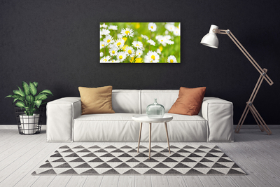 Quadro canvas Planta de flor margarida