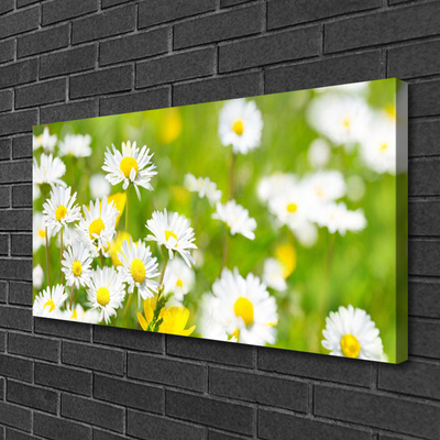 Quadro canvas Planta de flor margarida