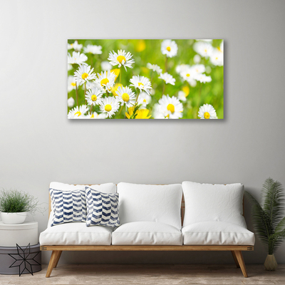 Quadro canvas Planta de flor margarida