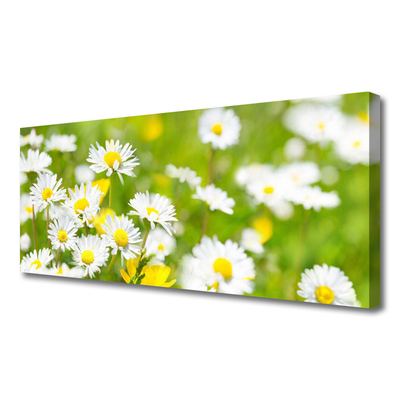 Quadro canvas Planta de flor margarida