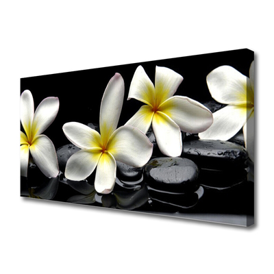 Quadro em tela Linda flor de plumeria