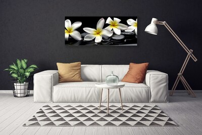 Quadro em tela Linda flor de plumeria