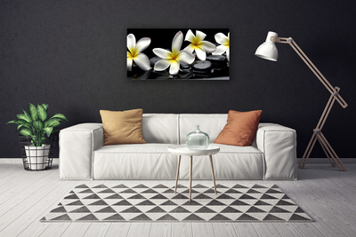 Quadro em tela Linda flor de plumeria