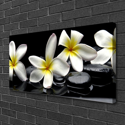 Quadro em tela Linda flor de plumeria