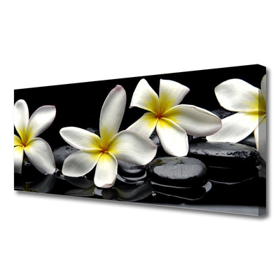 Quadro em tela Linda flor de plumeria