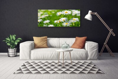 Quadro canvas Planta de flor margarida