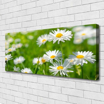 Quadro canvas Planta de flor margarida