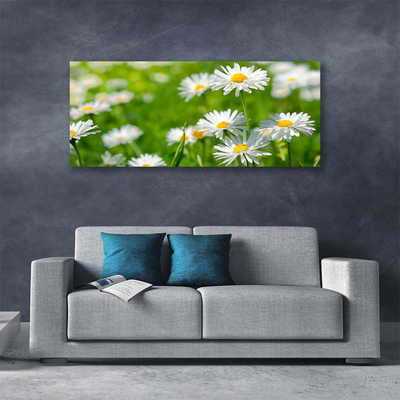 Quadro canvas Planta de flor margarida