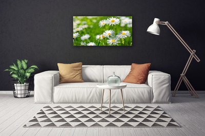 Quadro canvas Planta de flor margarida