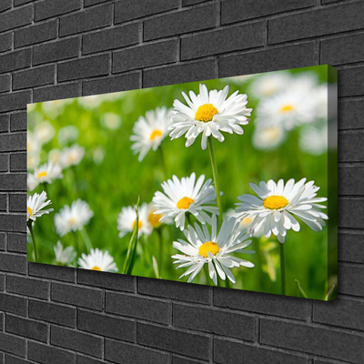 Quadro canvas Planta de flor margarida