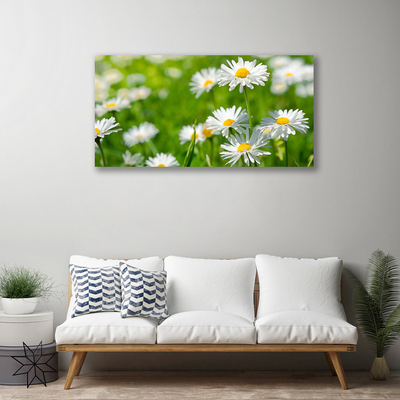 Quadro canvas Planta de flor margarida